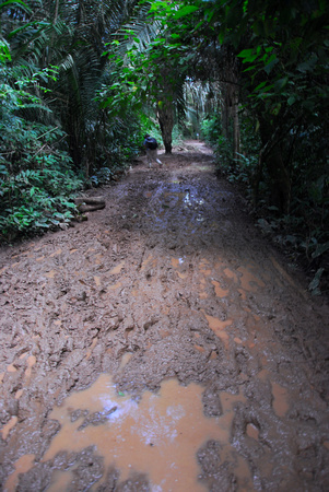 The Trail of Mud